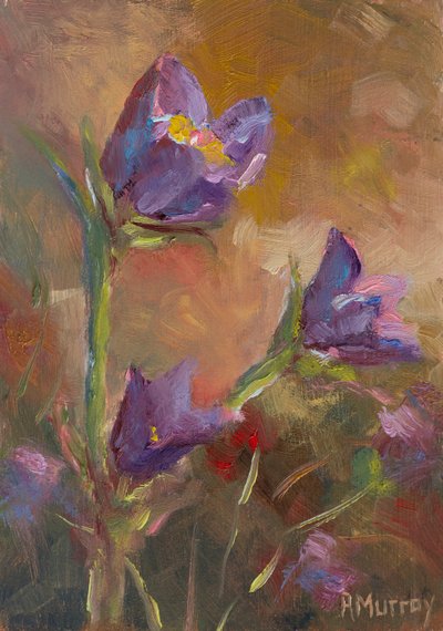 Prairie Crocus, 2023 (olie på papir) af Roberta Murray