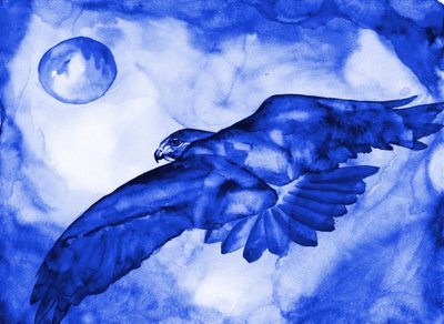 Blue Hawk Moon-flyvningen af RodMacIver