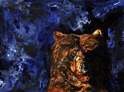 Grizzlyens intense blik af RodMacIver