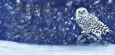 Snefyldt aften 60 x 28 af RodMacIver