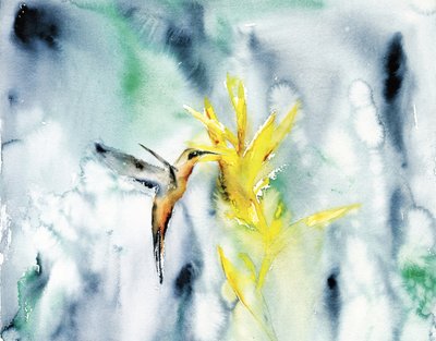 Farvestrålende kolibri-blomst af RodMacIver
