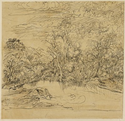 Bredden af en dam af Rodolphe Bresdin