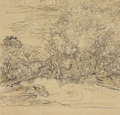 Bank of a Pond af Rodolphe Bresdin