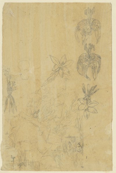 Blomsterstudier og badende kvinder af Rodolphe Bresdin