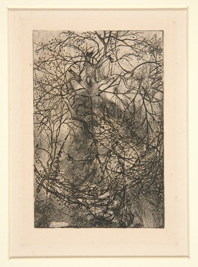 Grene af Rodolphe Bresdin