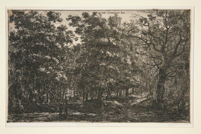 Int Seuniger Bos af Roelant Roghman