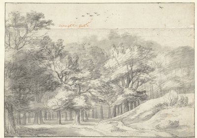 Udsigt i Haagse Bos af Roelant Roghman