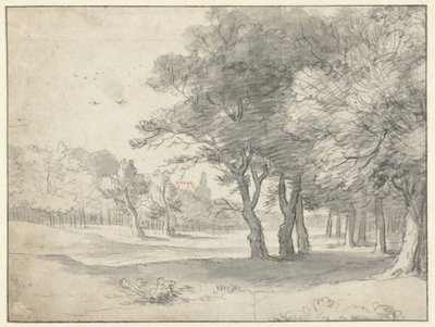Udsigt i Haagse Bos, med Grote Kerk, Haag, i det fjerne af Roelant Roghman