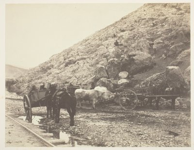 Kvæg og vogne forlader Balaklava af Roger Fenton