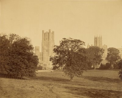 Ely-katedralen set fra parken af Roger Fenton