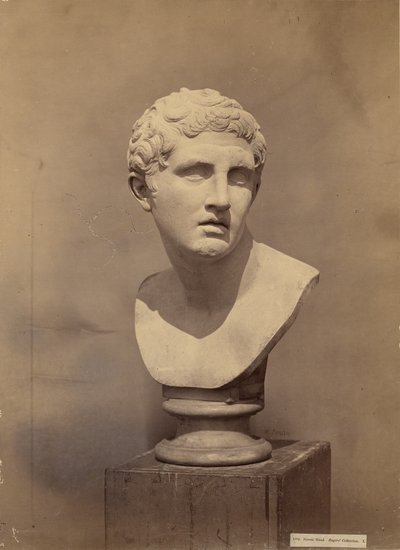 Heroisk hovedstudie af Roger Fenton