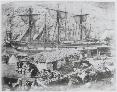 Kvægmolen i havnen i Balaklava af Roger Fenton