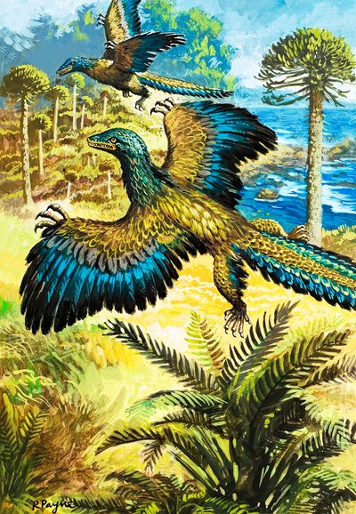 Archaeopreryx af Roger Payne