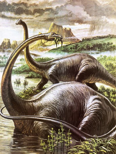 Diplodocus af Roger Payne