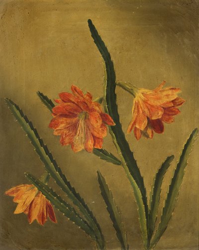 Studie af blomster (olie på lærred) af Rolinda Sharples