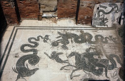 Gamle Ostia (Ostia). Place des Corporations. Mosaik af Sabratha Seafarers Corporation. Neptuns bade. af Roman