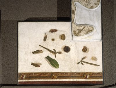 "Asarotos" (gulv ufejet) Fragmenter af mosaik signeret af Harakliton fra Rom, 2. århundrede e.Kr., Rom af Roman