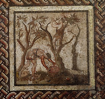 Høst druer, fra Saint-Romain-en-Gal (mosaik) af Roman