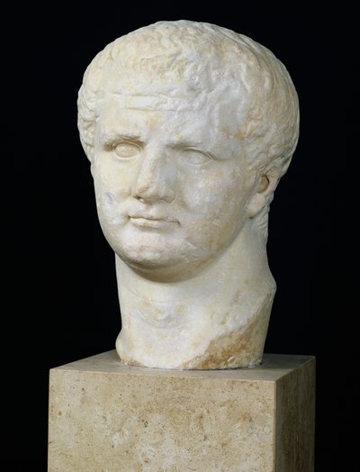 Titus hoved (39-81) (marmor) af Roman
