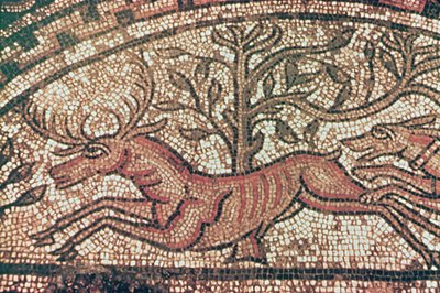 Hinton St. Mary fortovet (detalje) ca. 350 e.Kr. (mosaik) af Roman