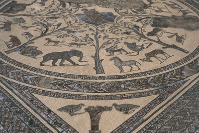 House of Orpheus, Orpheus omgivet af vilde dyr, detaljer (mosaik) af Roman