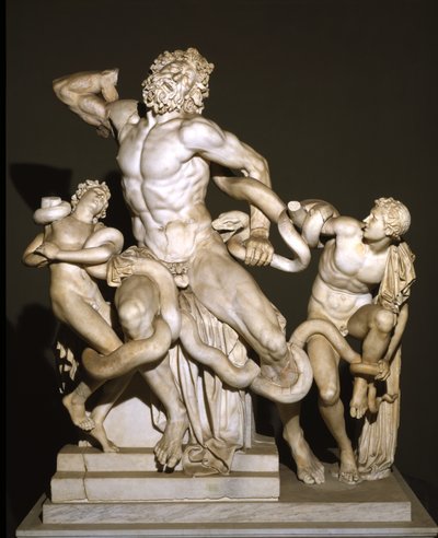 Laocoön og hans sønner (marmor) af Roman