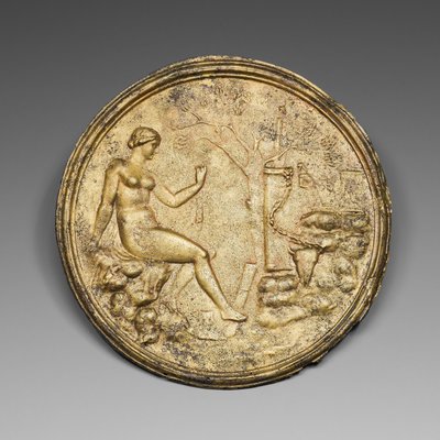 Spejl af Roman