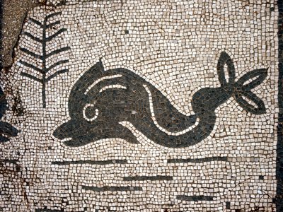 Repræsentation af en delfin efter en mosaik på pladsen i Corporazioni of Ostia (Ostia) antica. af Roman