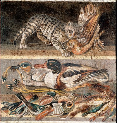 Romersk kunst: kat spiser en agerhøne og vildænder Første halvdel af 1. f.Kr.) Rom, Museo Nazionale Romano af Roman