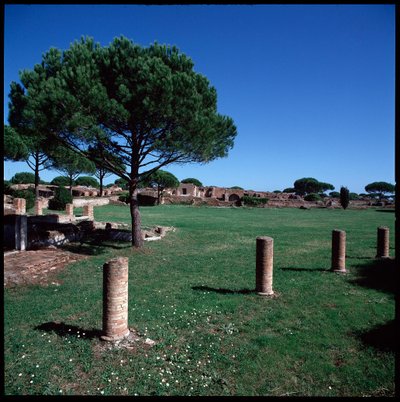 Romersk kunst: udsigt over ruinerne af Campo della Magna Mater, region IV af Roman