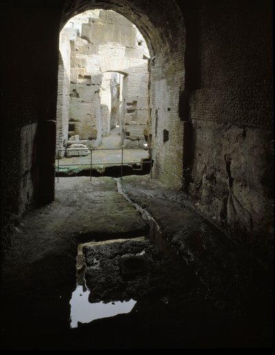 Romersk kunst: udsigt over de underjordiske passager i Colisee (Colosseo) i Rom, Italien af Roman