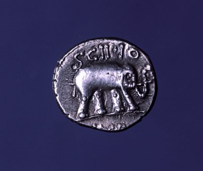 Sølvmønt, der repræsenterer en elefant, fetichedyr fra Scipions. Lucius Caecilius Metellus beslaglagde de karthagiske elefanter i 251 f.Kr. 47-46 f.Kr. af Roman