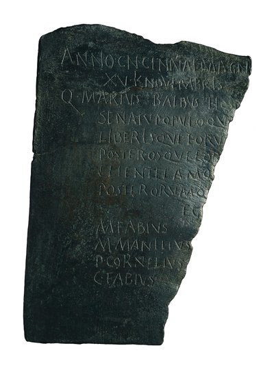 Sygehusbestyrelsen af Roman