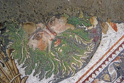 Ukendt billede af Roman