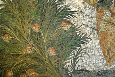 Ukendt billede af Roman