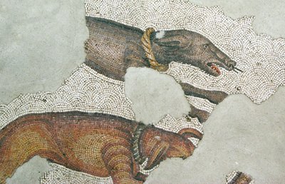 Ukendt billede af Roman