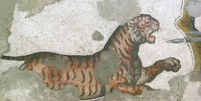 Ukendt billede af Roman