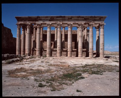 Udsigt over det romerske tempel af Roman