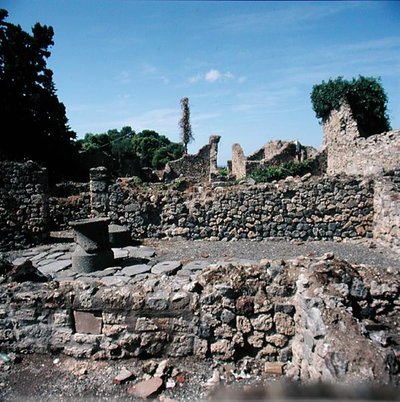 Udsigt over ødelagte huse af Roman
