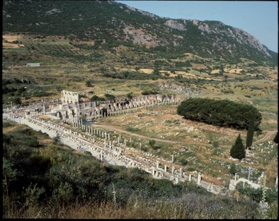 Udsigt over Curetes gade mod biblioteket i Celsus. af Roman