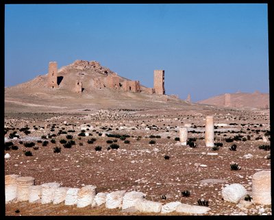 Udsigt over Iamblichus og Elahbels tårngrave (Fotografi) af Roman