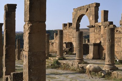Cardo og adgang til Cosinius-markedet, højkejsertid (27 f.Kr.-395 e.Kr.) af Roman Imperial Period