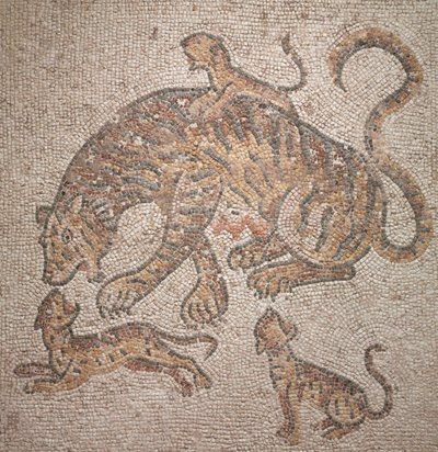 Tigress and Cubs, 300sdani af Roman Imperial Period