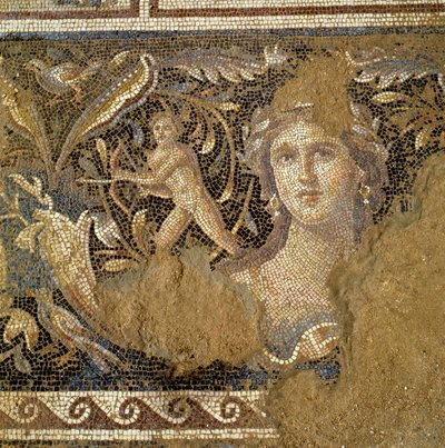 Etage fra en romersk villa i Zippori (Nazareth) skildrer scener fra Dionysos liv, detaljer af ansigtet på en kvinde kendt som Mona Lisa fra Galilæa, 3.-4. århundrede e.Kr. (mosaik) af Roman Roman