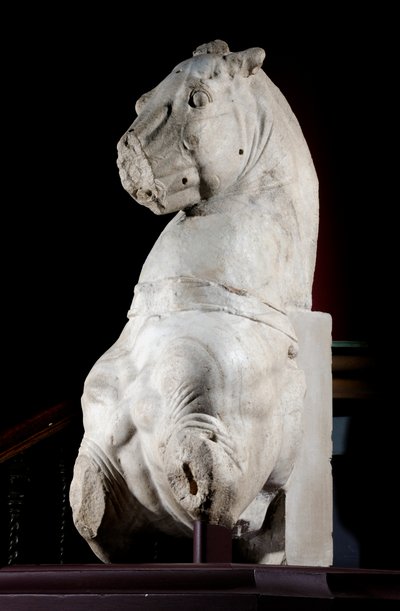 Forreste del af en hest (marmor) (se også 371182 & 371184) af Roman Roman