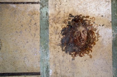 Gorgons hoved, fresko fra House of Caius Julius Polybius, Pompeji (UNESCOs verdensarvsliste af Roman Roman