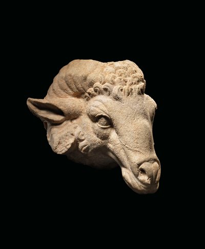 Hoved af en vædder, ca. 1. århundrede f.Kr. - 1. århundrede e.Kr. (marmor) af Roman Roman