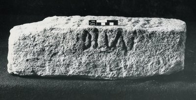 Indskrevet århundredesten (sten) af Roman Roman