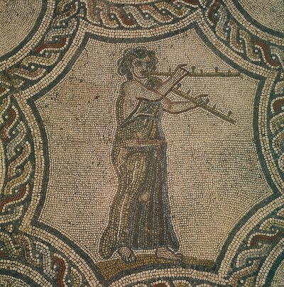 Mosaik, der forestiller kvindelig fløjtenist fra House of Dionysus, i Volubilis, Marokko, romersk civilisation, af Roman Roman