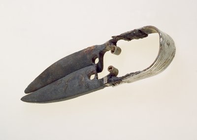 En saks (bronze) af Roman Roman